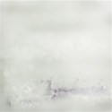 bg (4)