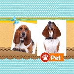 Pet p01 Pet p01