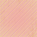 paper 4 no drop shadow