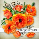 Poppies 1 Poppies 1