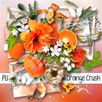 Orange Crush Orange Crush