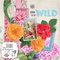 Born-to-be-Wild