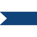 1 (11)