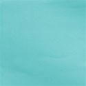 jennyL_livelaugh_paper3
