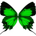 green butterfly