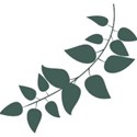 em (13)