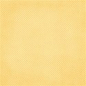 SCD_Bright_paper9