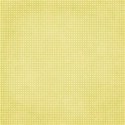 SCD_Bright_paper13