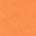 paper