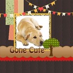 Pet theme Pet theme