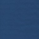 jennyL_littleman_paper1