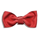 jennyL_littleman_bowtie3
