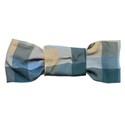 jennyL_littleman_bowtie4