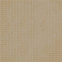 autumn paper4