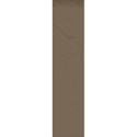 1 (1)
