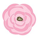 jennyL_ranunculus2_18