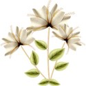 lisaminor_autumnspleasure_flowers_a