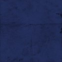 LHanks_BlueMoon_paper1