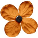 SCD_PumpkinTime_flower4