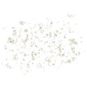 DD_Shine_splatter01