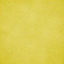 DD_Shine_paper07