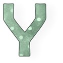 Y upper