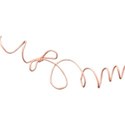 Pamperedprincess_sticktoyourroots_string1 copy