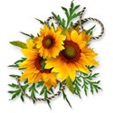 sqs_A_sunflower cluster