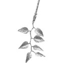 shinyleaves