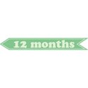 cwJOY-Baby1stYear-Boy-Tag-12mo