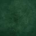 SCD_Wintergreen_paper8