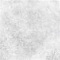 SCD_Wintergreen_paper10