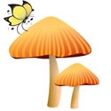 pmushroom