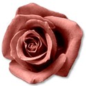 rosepink