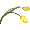 chey0kota_PaintEaster_ele (113)