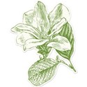 cwJOY_IntheGarden_sticker4