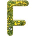 cwJOY_IntheGarden_uc_F