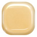 SCD_LAA_bradsquare2