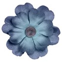 SCD_RainOn_flower2