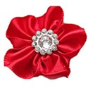 chey0kota_Patriotic_Ele (109)