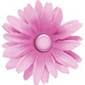 JAM-WeddingBliss-flower25