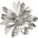 SCD_ComputeThis_flower3