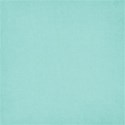 Aqua