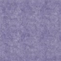 SChua_BrightNights_Paper_1