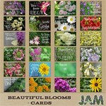 Beautiful Blooms - Filler Cards Beautiful Blooms - Filler Cards