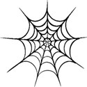 spider web