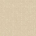 ScrapSis_SDPY_LightBrownBackground