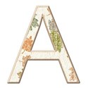 st_woodalpha_caps_A
