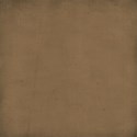 cala_chocolatemouse_paper