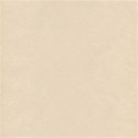 ClaudiaSachs_Paper
